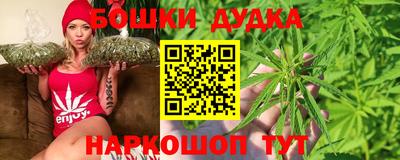 индика Коммунар