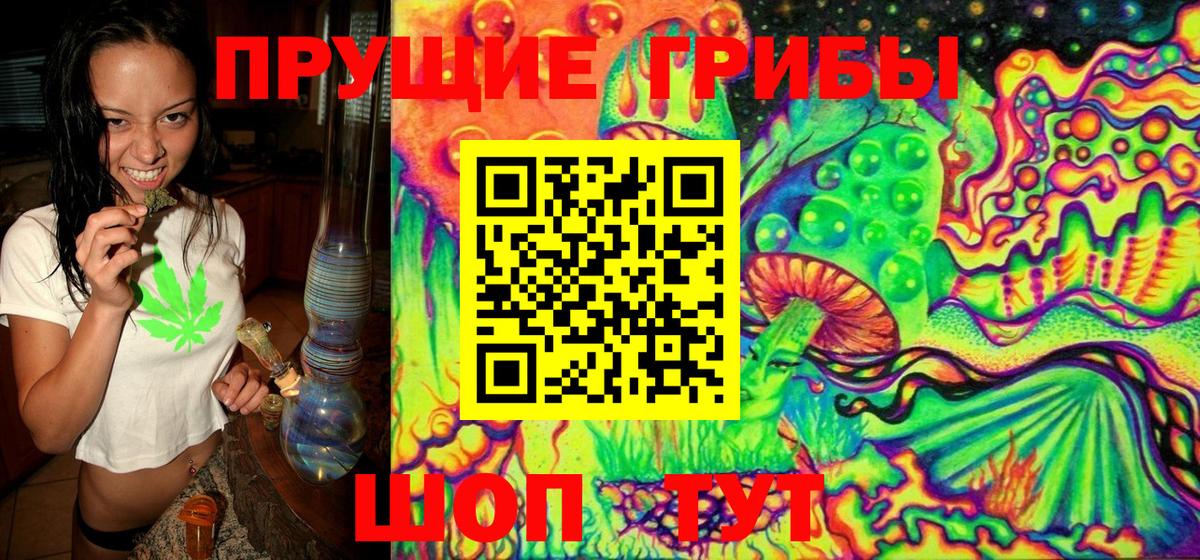 Калач-на-Дону  Псилоцибиновые грибы GOLDEN TEACHER  Вход с VPN 